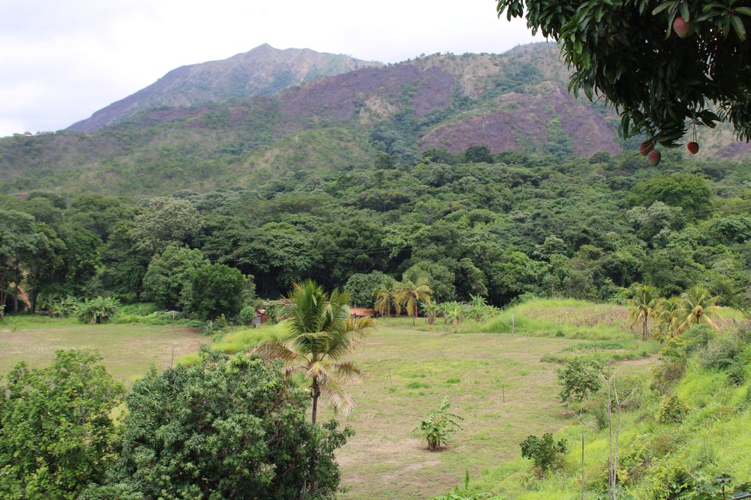 Finca Agro Shambala